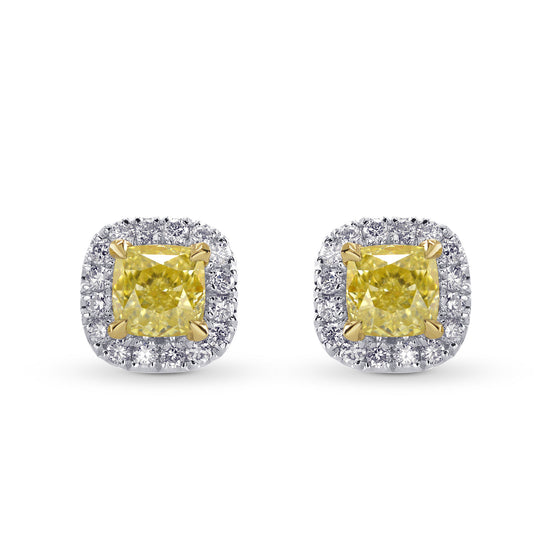  Fancy Yellow Cushion Halo Stud Earrings