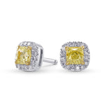  Fancy Yellow Cushion Halo Stud Earrings