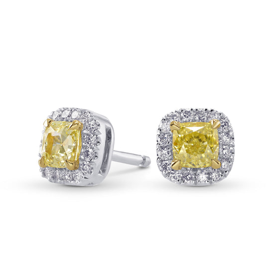  Fancy Yellow Cushion Halo Stud Earrings