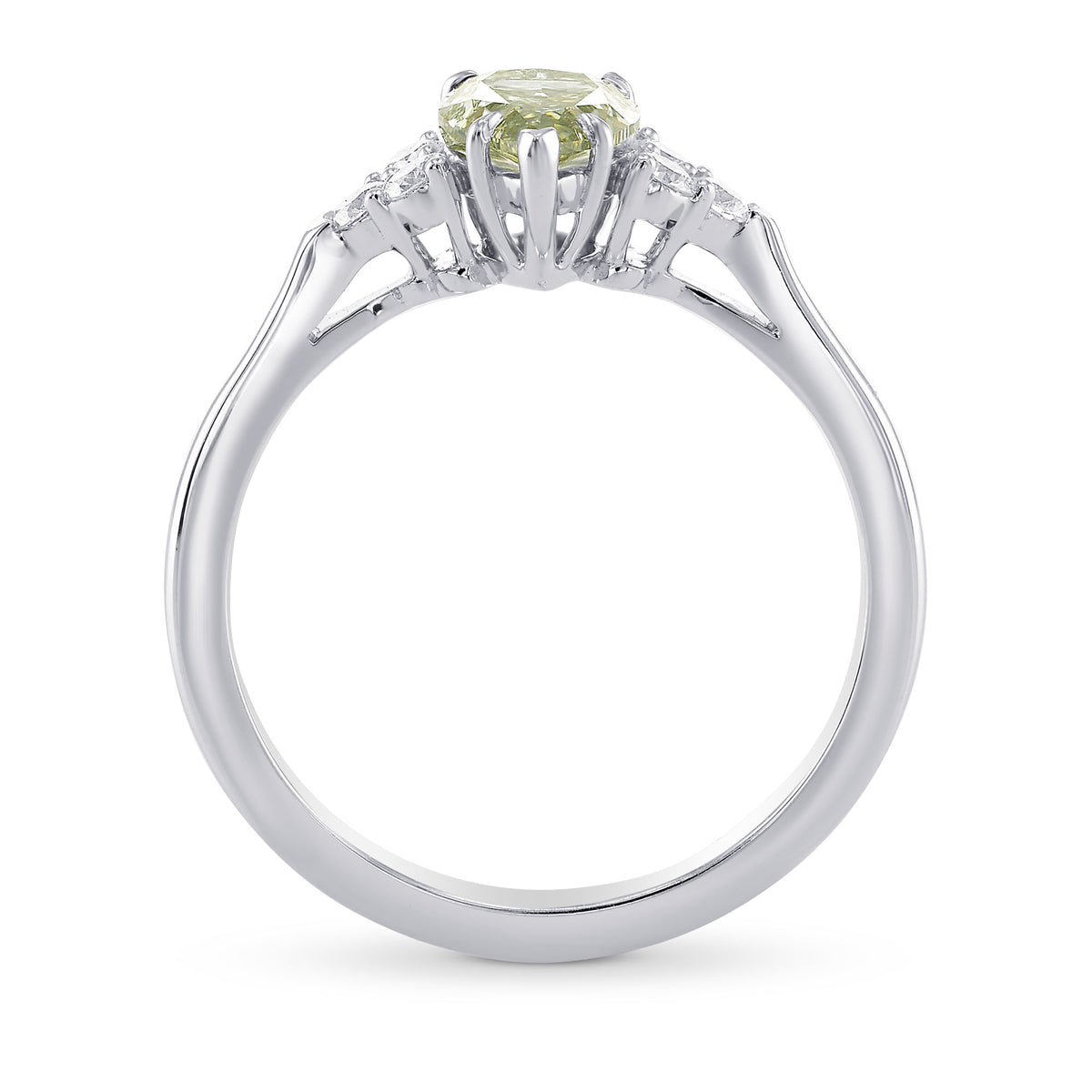 Chameleon and Diamond Side Stones Ring