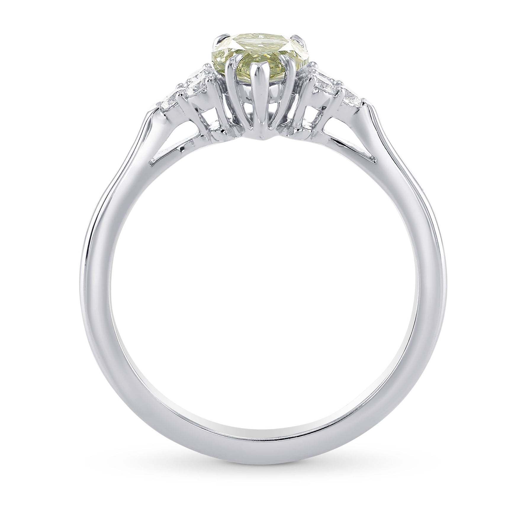 Chameleon and Diamond Side Stones Ring