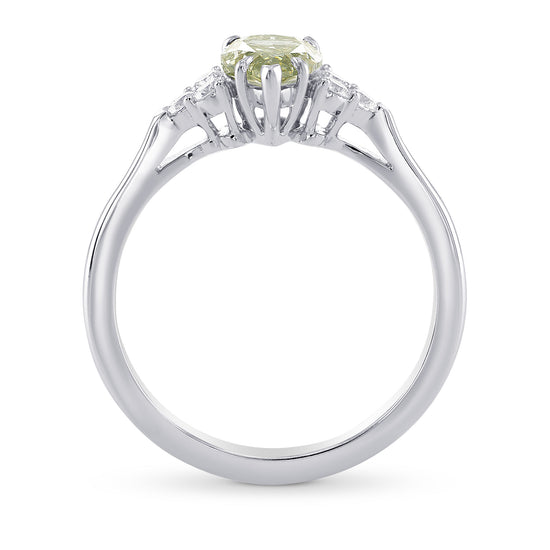 Chameleon and Diamond Side Stones Ring