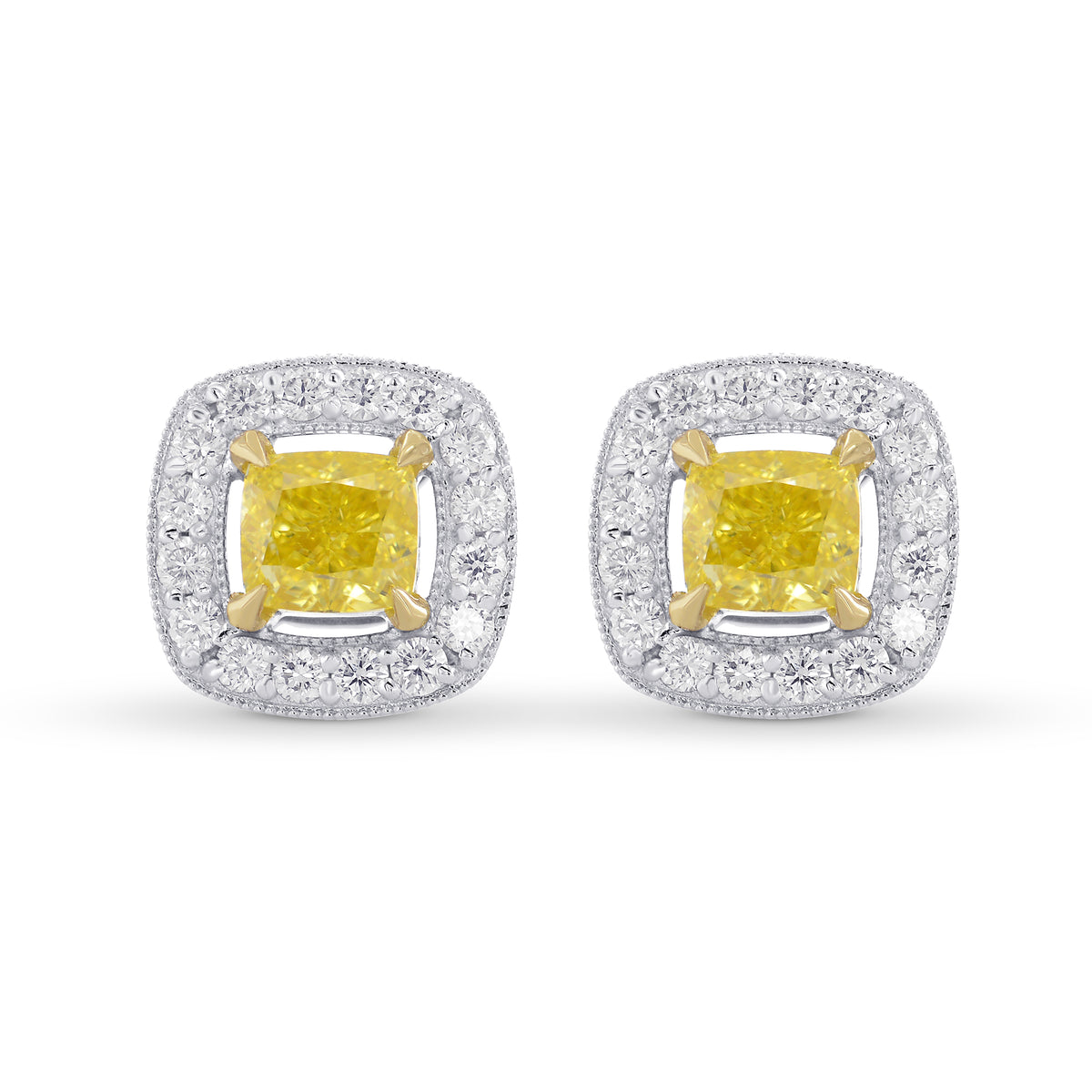 Fancy Intense Yellow Cushion Halo Earrings