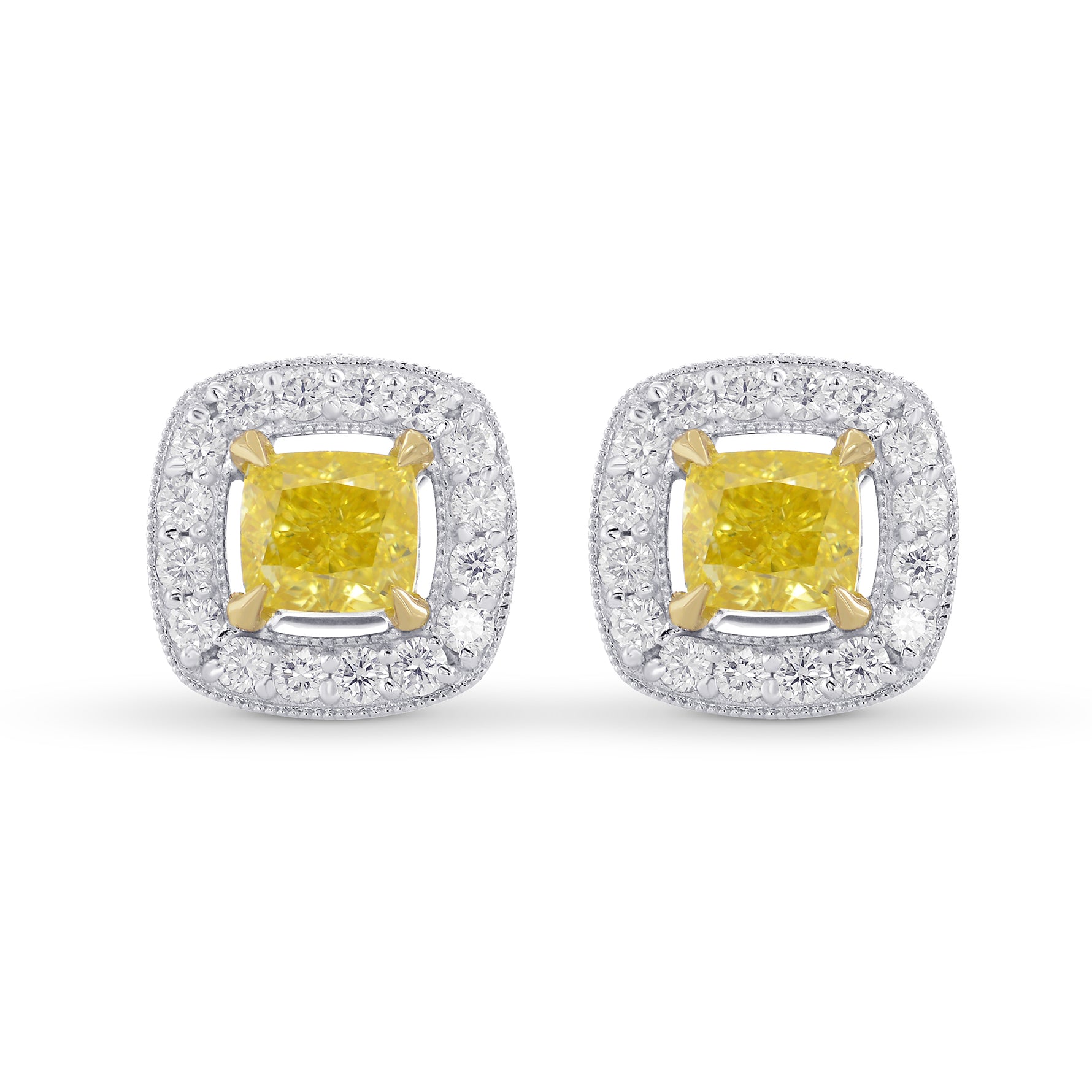 Fancy Intense Yellow Cushion Halo Earrings