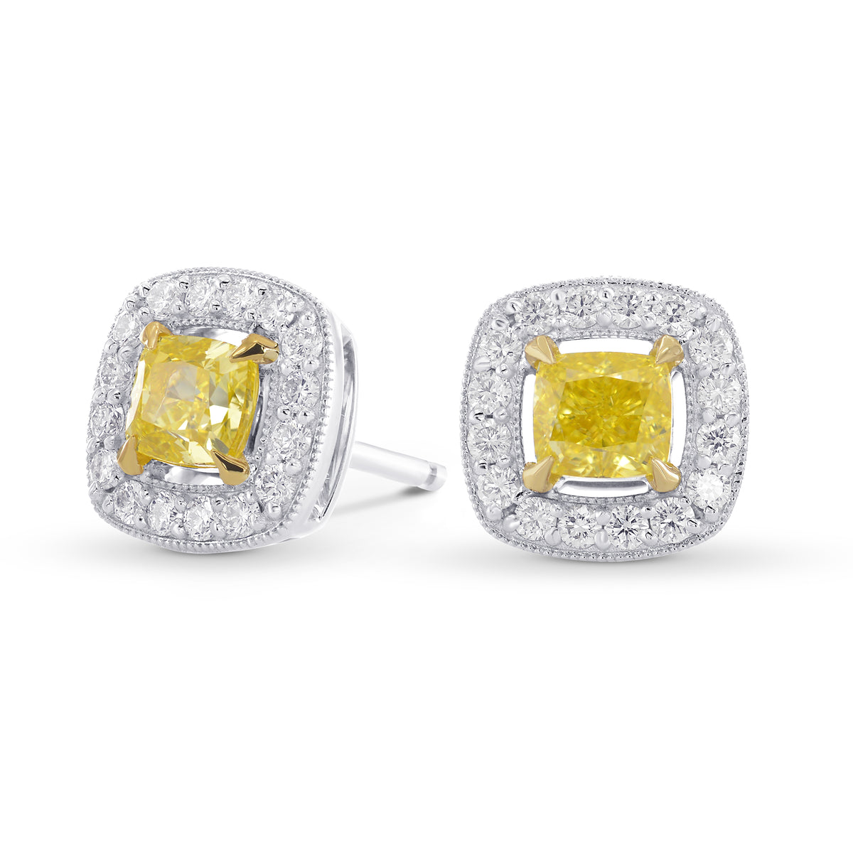 Fancy Intense Yellow Cushion Halo Earrings