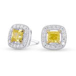 Fancy Intense Yellow Cushion Halo Earrings