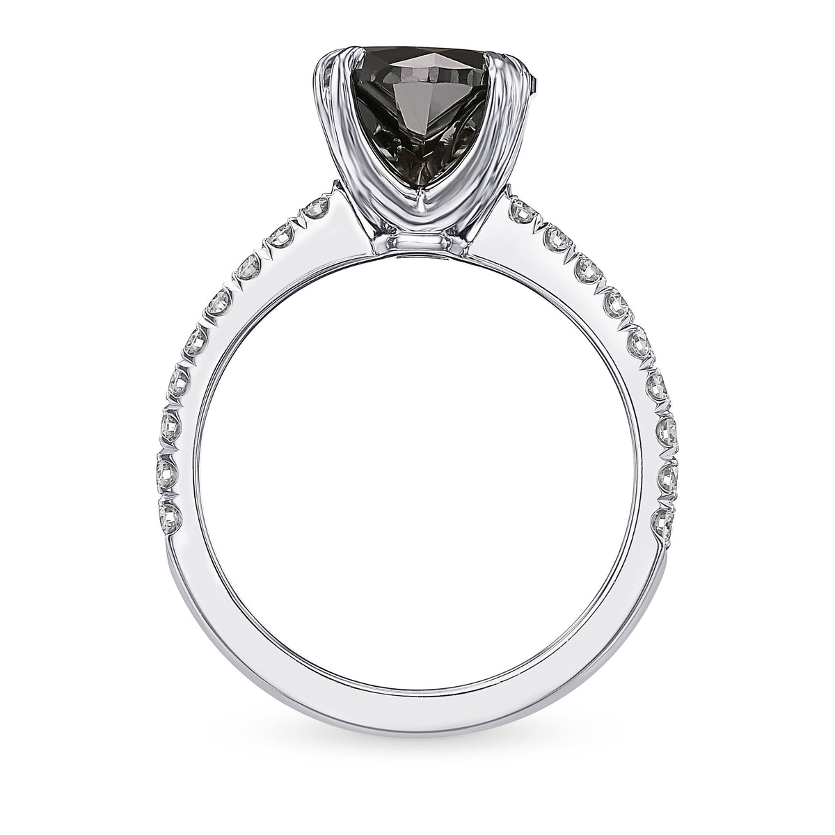 Fancy Black Round Diamond Side-stone Ring - 2