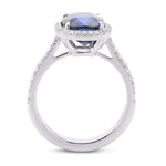 Cushion Sapphire & Diamond Halo Ring