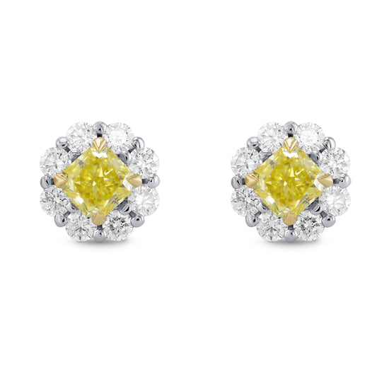 Fancy Yellow Radiant Diamond Basket Halo Earrings 