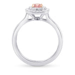 Fancy Intense Purplish Pink Round Diamond Double Halo Ring