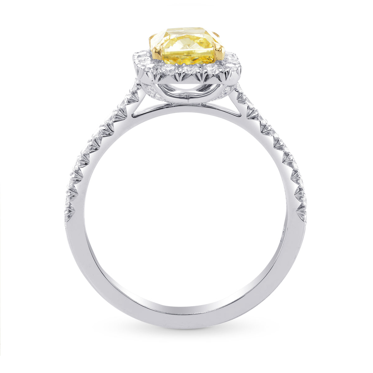Fancy Yellow Cushion, Halo Diamond Ring