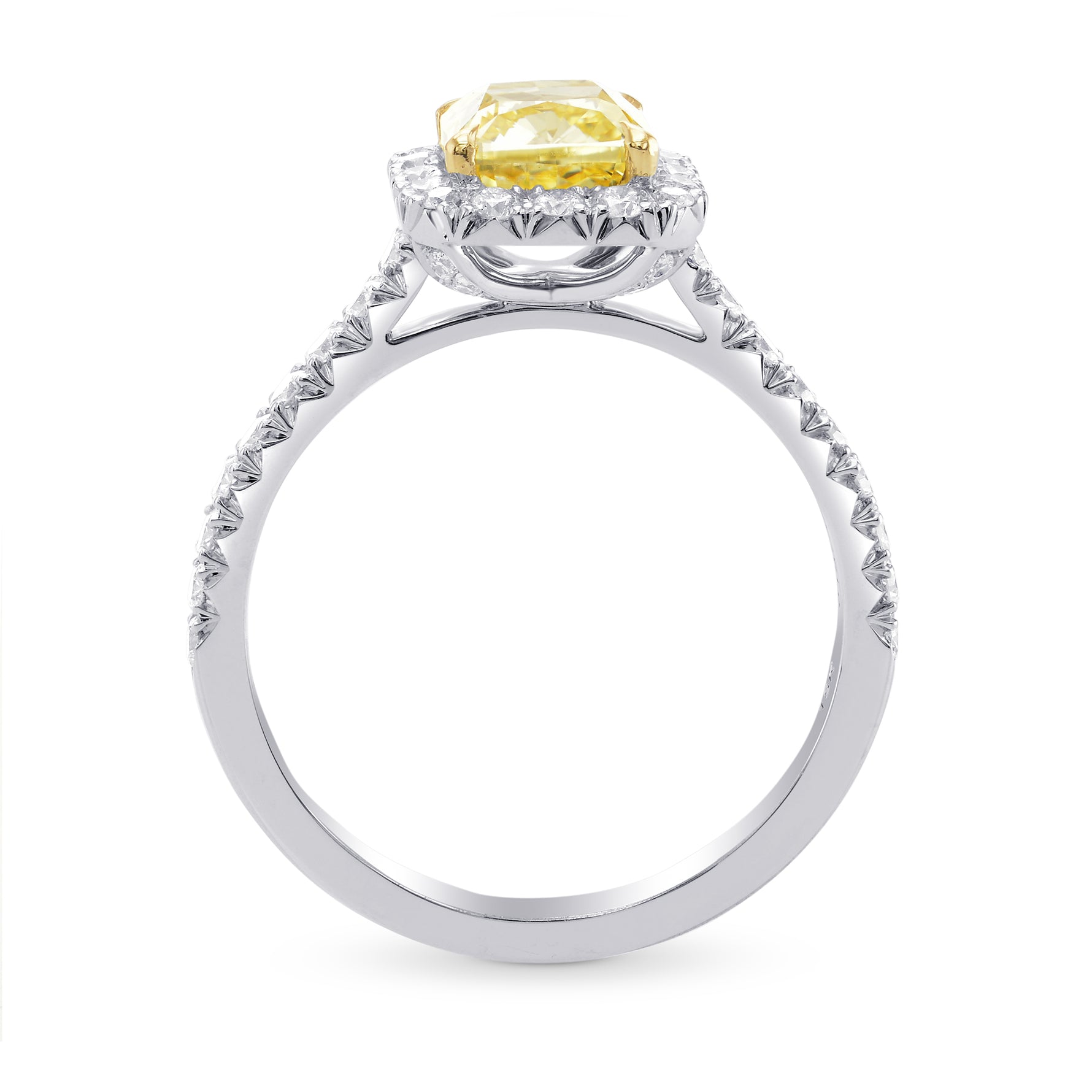 Fancy Yellow Cushion, Halo Diamond Ring
