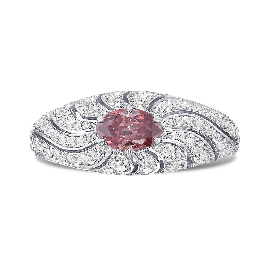 Diamond Designer Dress Ring Setting