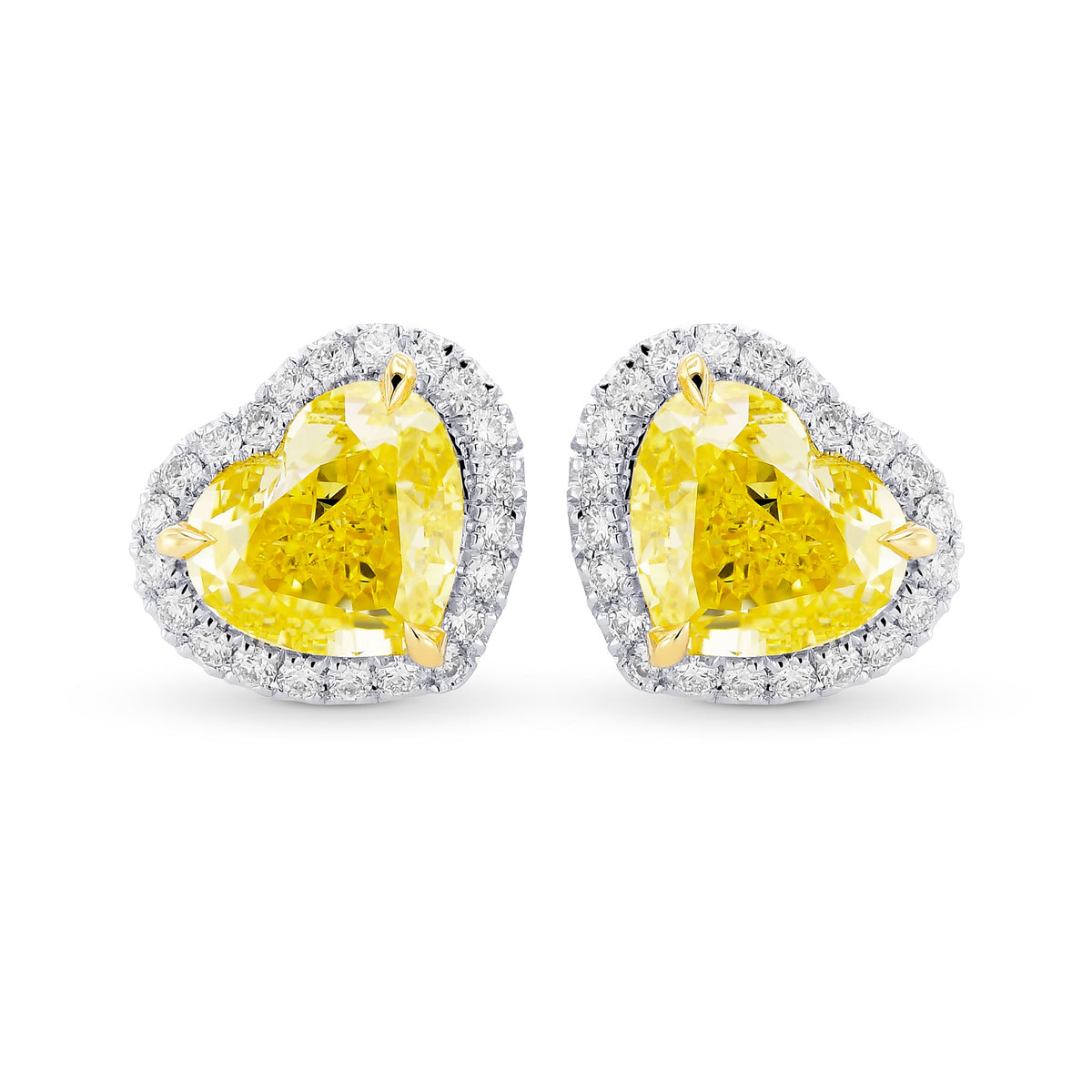 Fancy Intense Yellow Heart Shape Diamond Halo Earrings