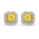 Fancy Intense Yellow Cushion Double Halo Earrings
