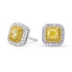 Fancy Intense Yellow Cushion Double Halo Earrings