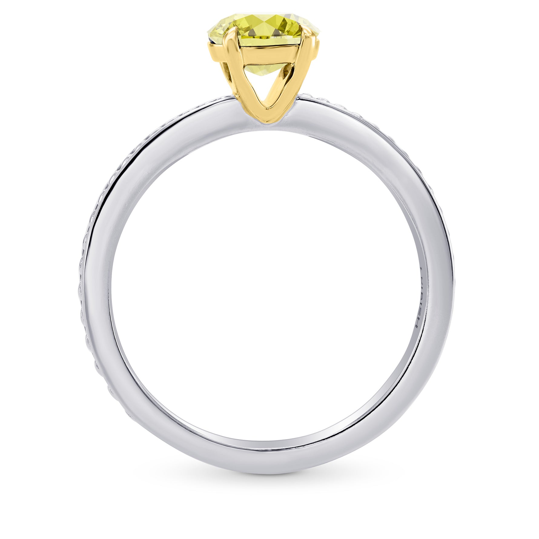 Solitaire Ring Setting with Beaded Shank - 2