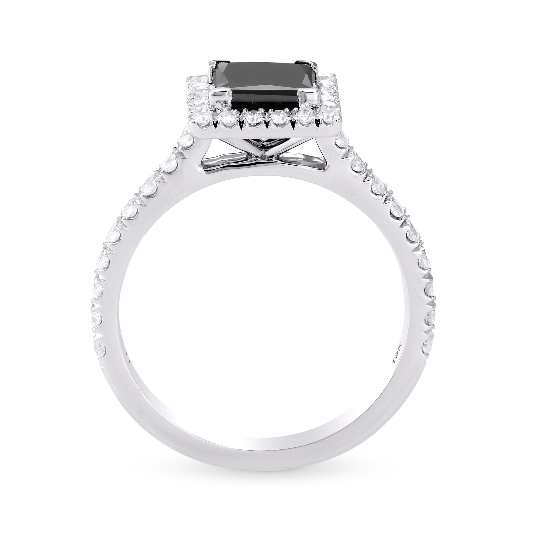 Natural Fancy Black Princess Diamond Halo Ring