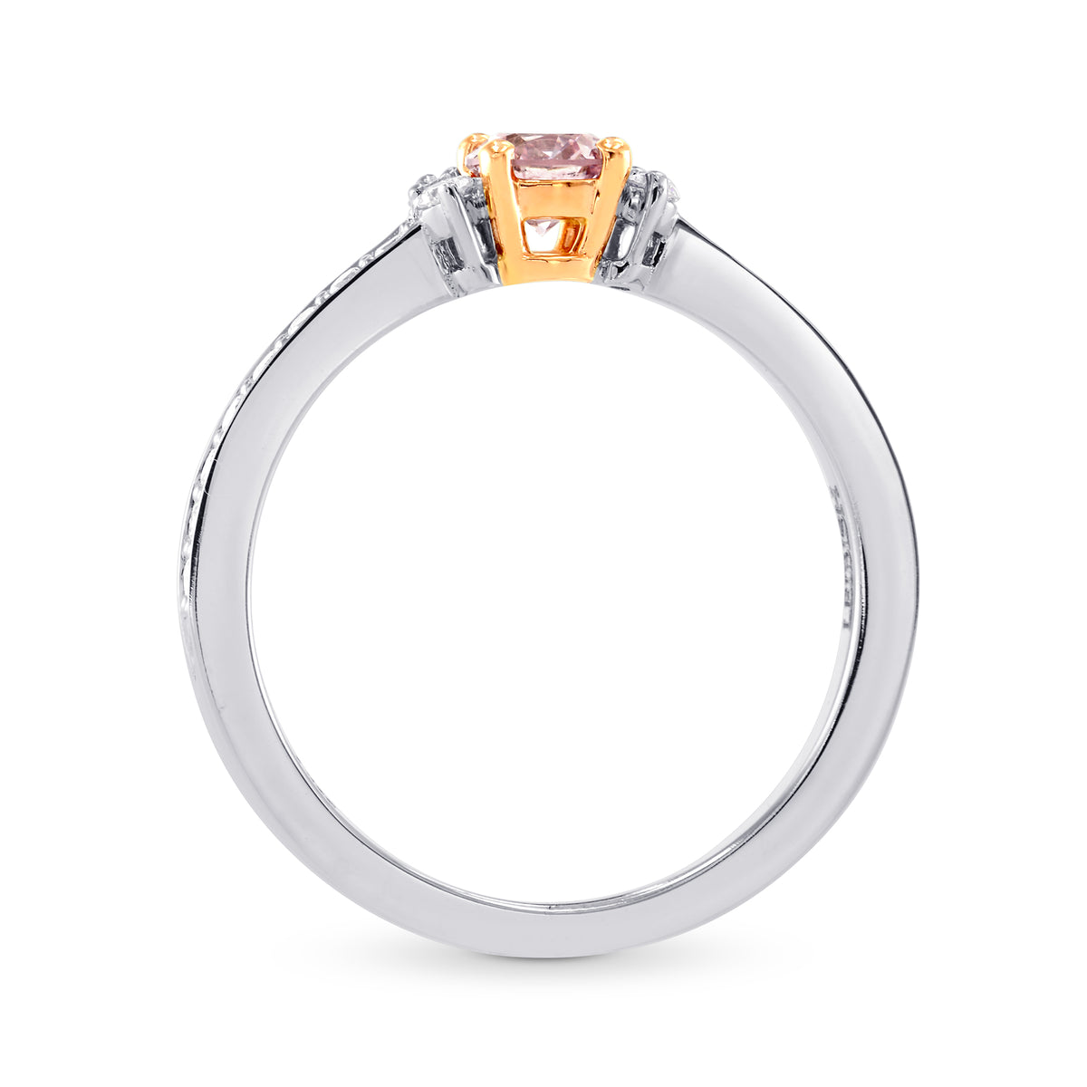 Solitaire Accent & Pave Engagement Ring Setting - 2