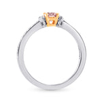 Solitaire Accent & Pave Engagement Ring Setting - 2
