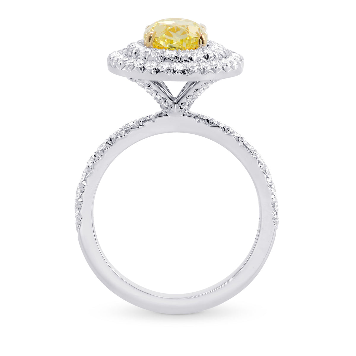Fancy Intense Yellow Oval Diamond Double Halo Ring