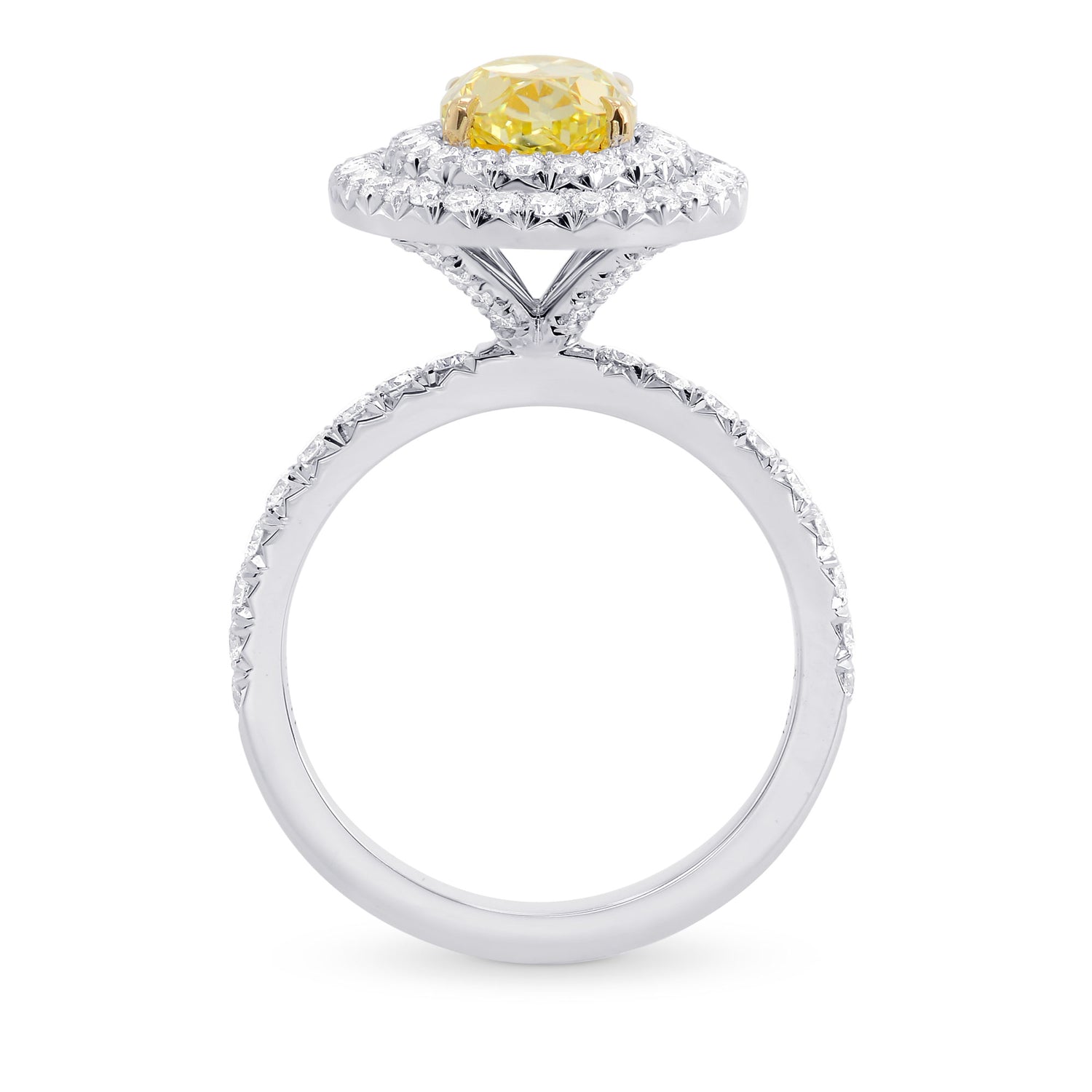 Fancy Intense Yellow Oval Diamond Double Halo Ring