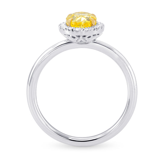 Fancy Intense Yellow Oval Diamond Halo Ring