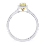 Fancy Intense Yellow Cushion Diamond Halo Ring