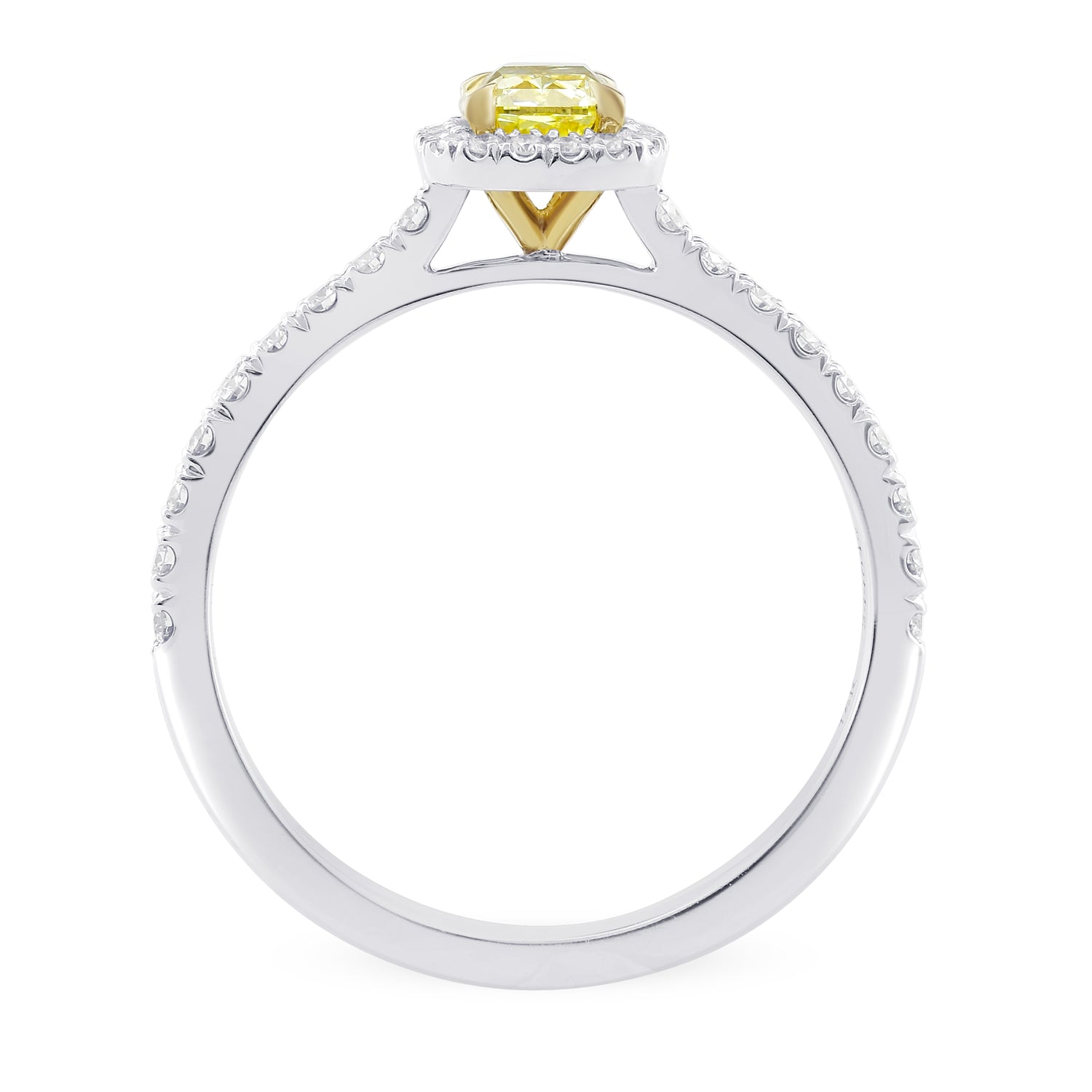 Fancy Intense Yellow Cushion Diamond Halo Ring