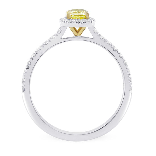 Fancy Intense Yellow Cushion Diamond Halo Ring