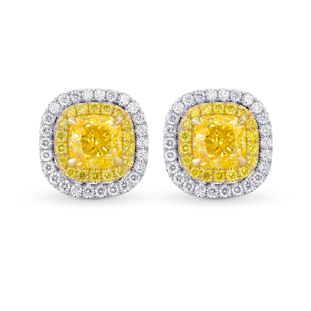 Fancy Yellow Cushion Double Halo Earrings 