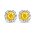 Fancy Yellow Cushion Double Halo Earrings 