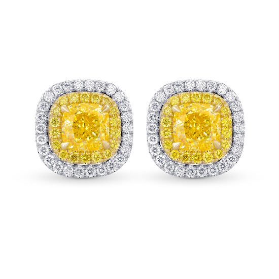 Fancy Yellow Cushion Double Halo Earrings 