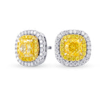 Fancy Yellow Cushion Double Halo Earrings 