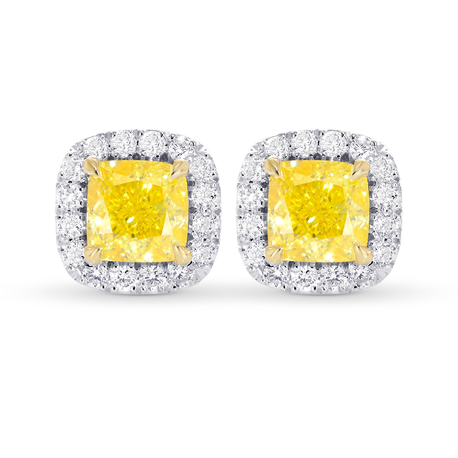 Fancy Intense Yellow Cushion Halo Earrings 