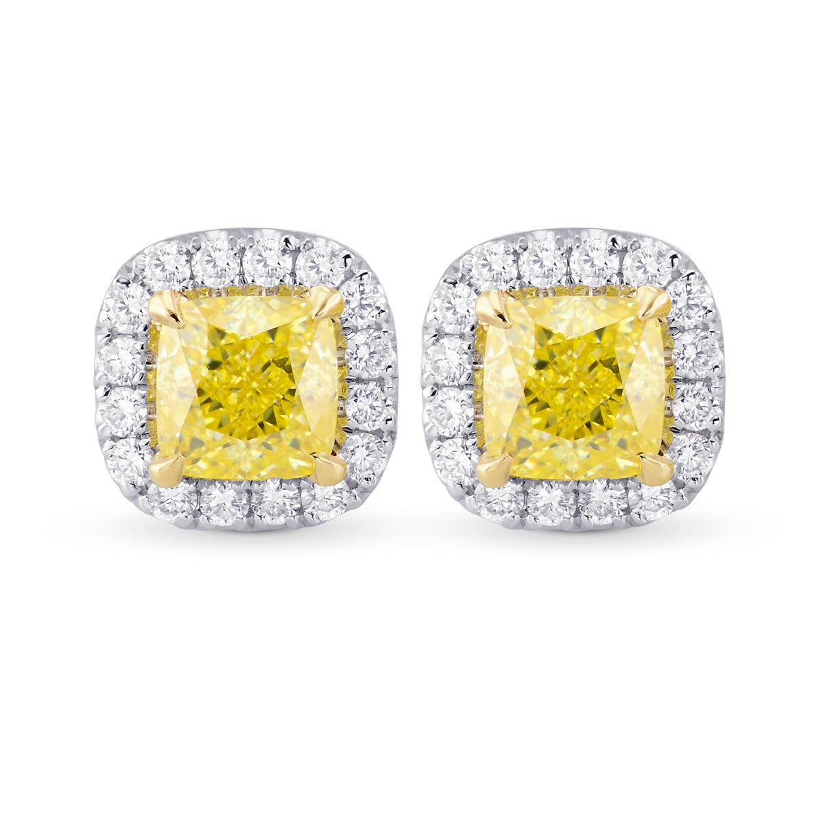  Fancy Yellow Cushion Diamond Halo Earrings