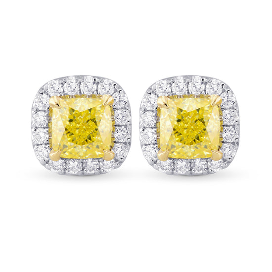  Fancy Yellow Cushion Diamond Halo Earrings