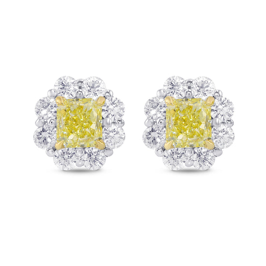 Fancy Yellow Radiant Diamond Basket Halo Earrings 