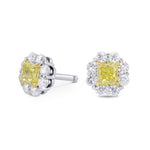 Fancy Yellow Radiant Diamond Basket Halo Earrings 