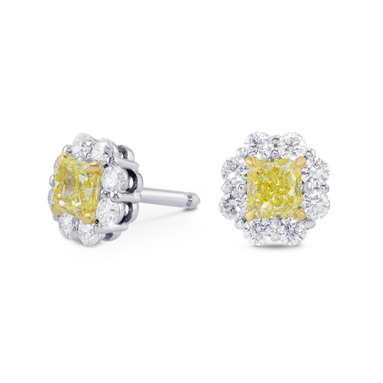Fancy Yellow Radiant Diamond Basket Halo Earrings 
