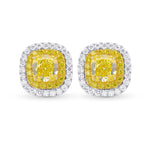 Fancy Intense Yellow Cushion Double Halo Earrings 