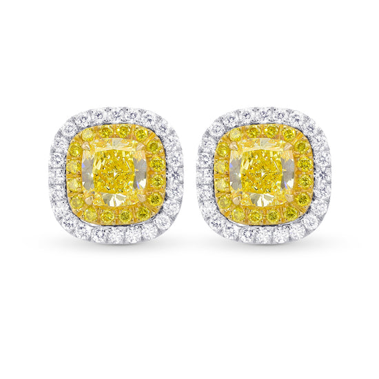 Fancy Intense Yellow Cushion Double Halo Earrings 