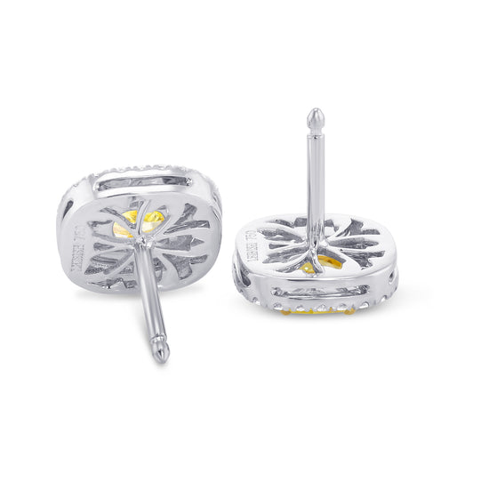 Fancy Intense Yellow Cushion Double Halo Earrings 
