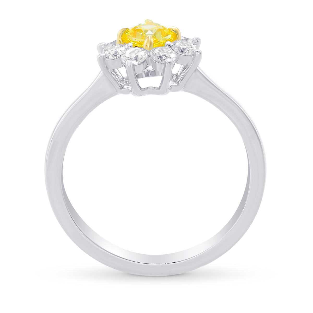 Fancy Vivid Yellow Cushion Diamond Halo Ring