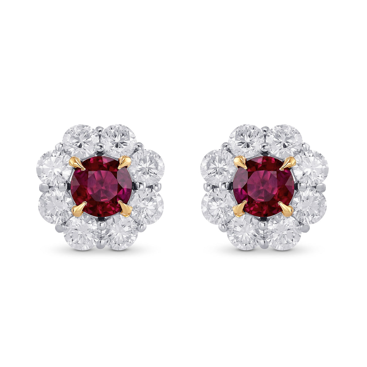 Pigeon Blood Ruby & Diamond Floral Halo Earrings 