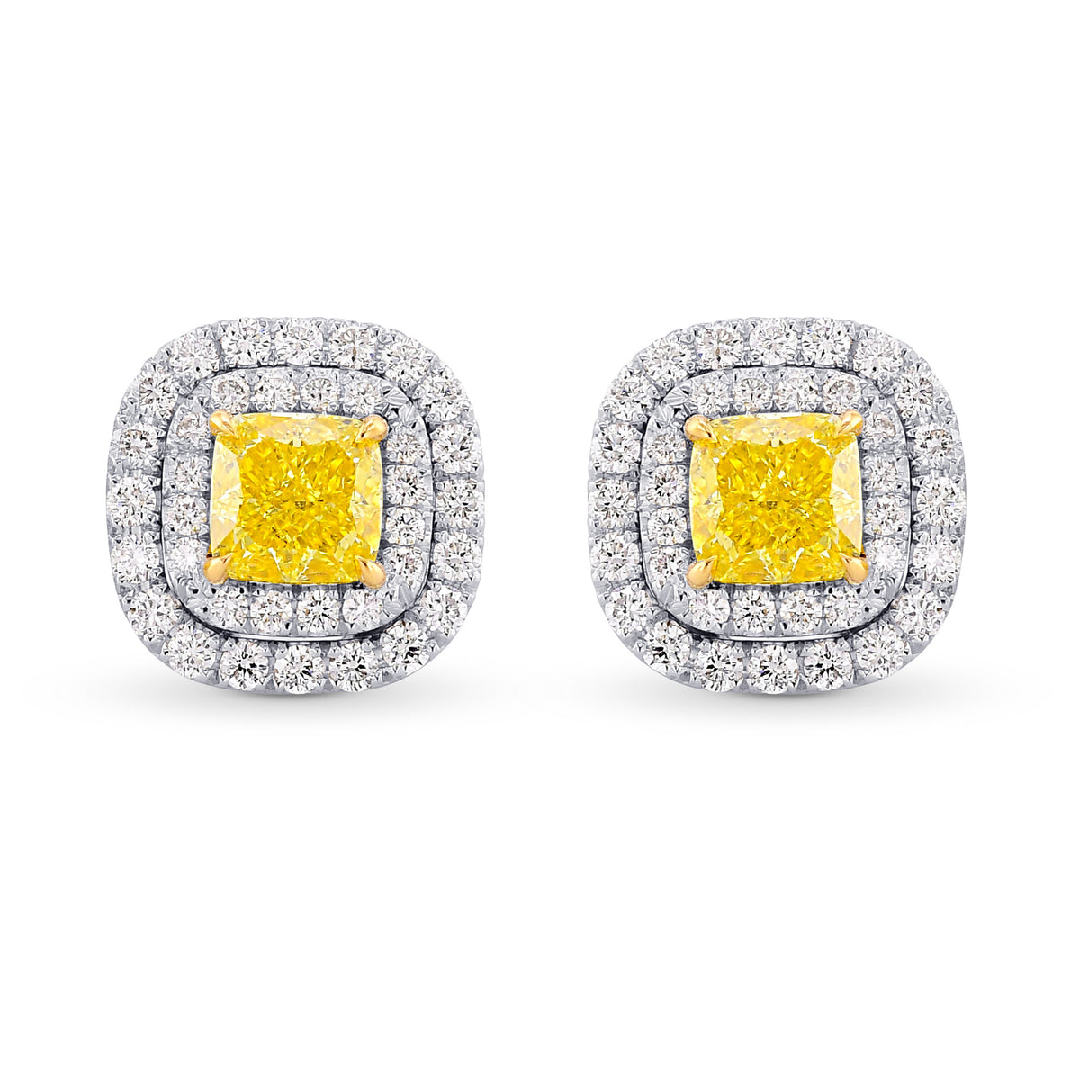 Fancy Vivid Yellow Cushion Double Halo Earrings 