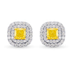Fancy Vivid Yellow Cushion Double Halo Earrings 