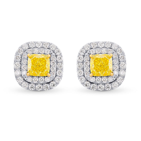 Fancy Vivid Yellow Cushion Double Halo Earrings 