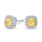 Fancy Yellow Radiant Halo Diamond Earrings