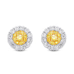 Fancy Intense Yellow  Round Brilliant Double Halo Diamond Earrings